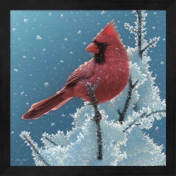 Cardinal - Cherry on Top by Collin Bogle, Framed Wall Art, 13.25W x 13.25H