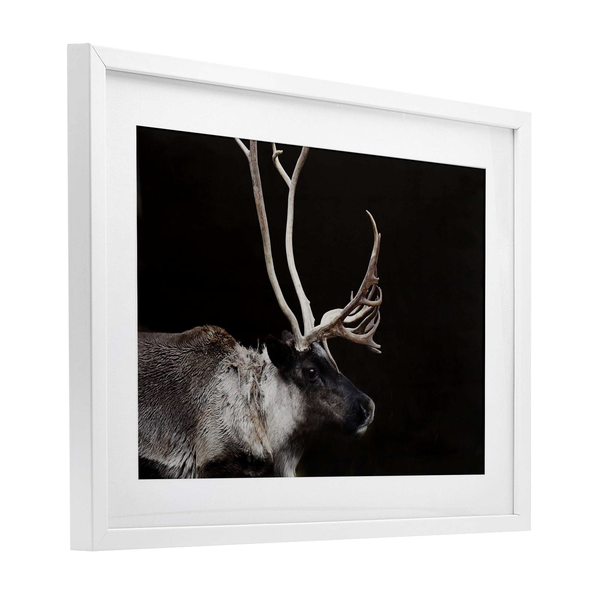 Stupell Industries Dark Reindeer at Night White Framed Print Under Glass, design by Amy Carroll