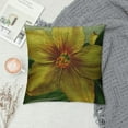 thumbnail image 2 of Creowell Pillow Covers Farmhouse Green Garden Yellow Spring Daffodil Flower Graphic Copyspace Nature Dafodil Leaves Floral Jonquil Decorative Throw Pillow Covers White, 2 of 5