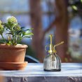 thumbnail image 3 of Arrosoir Vertical Transparent Indépendamment Emballé Buse Dorée 200ML Arrosoir Rétro Jardinage Arrosoir Vertical en Verre Arrosoir, 3 of 8