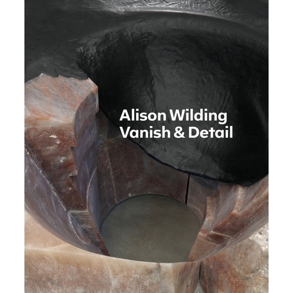 Tate Britain, London: Exhibition Catalog Alison Wilding: Vanish & Detail, (Paperback)