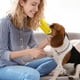 thumbnail image 3 of Bozal para perro pequeño | Talla S | Cuerda de nailon de silicona suave ajustable | Funda de entrenamiento antimordeduras y antimordiscos para paseos, aseo, viajes y seguridad para mascotas, 3 of 5