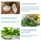 thumbnail image 2 of Anti-Odorant Spray, Improving Body Odor, Natural Spray Deodorant for Women and Men, 2 of 5
