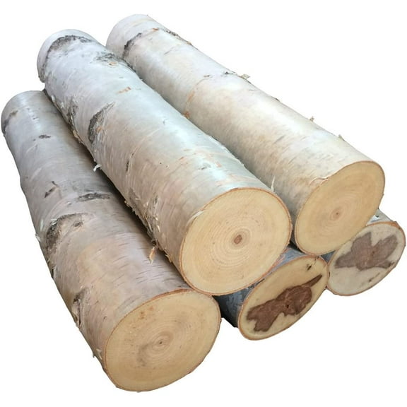 Large Birch Fireplace Log Set of Five