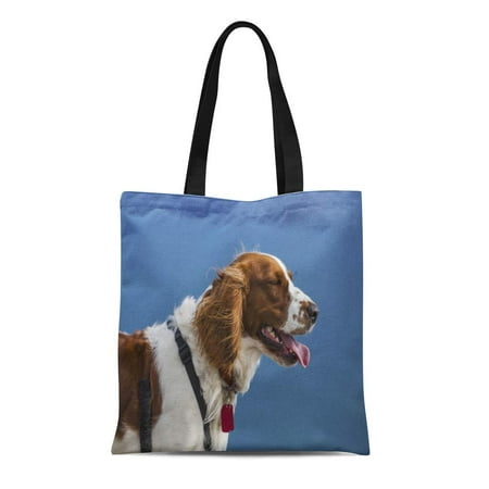 ASHLEIGH Canvas Tote Bag Welsh Springer Spaniel Stands Wearing Harness Dog Collar Tag Reusable Shoulder Grocery Shopping Bags Handbag