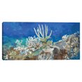 thumbnail image 1 of Cuadros Decorativos Arrecife de coral Studio Arts Canvas, 1 of 1