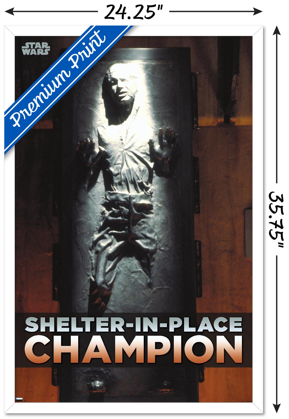 Star Wars: Saga - Han Solo - Shelter In Place Wall Poster, 22.375" x 34", Framed