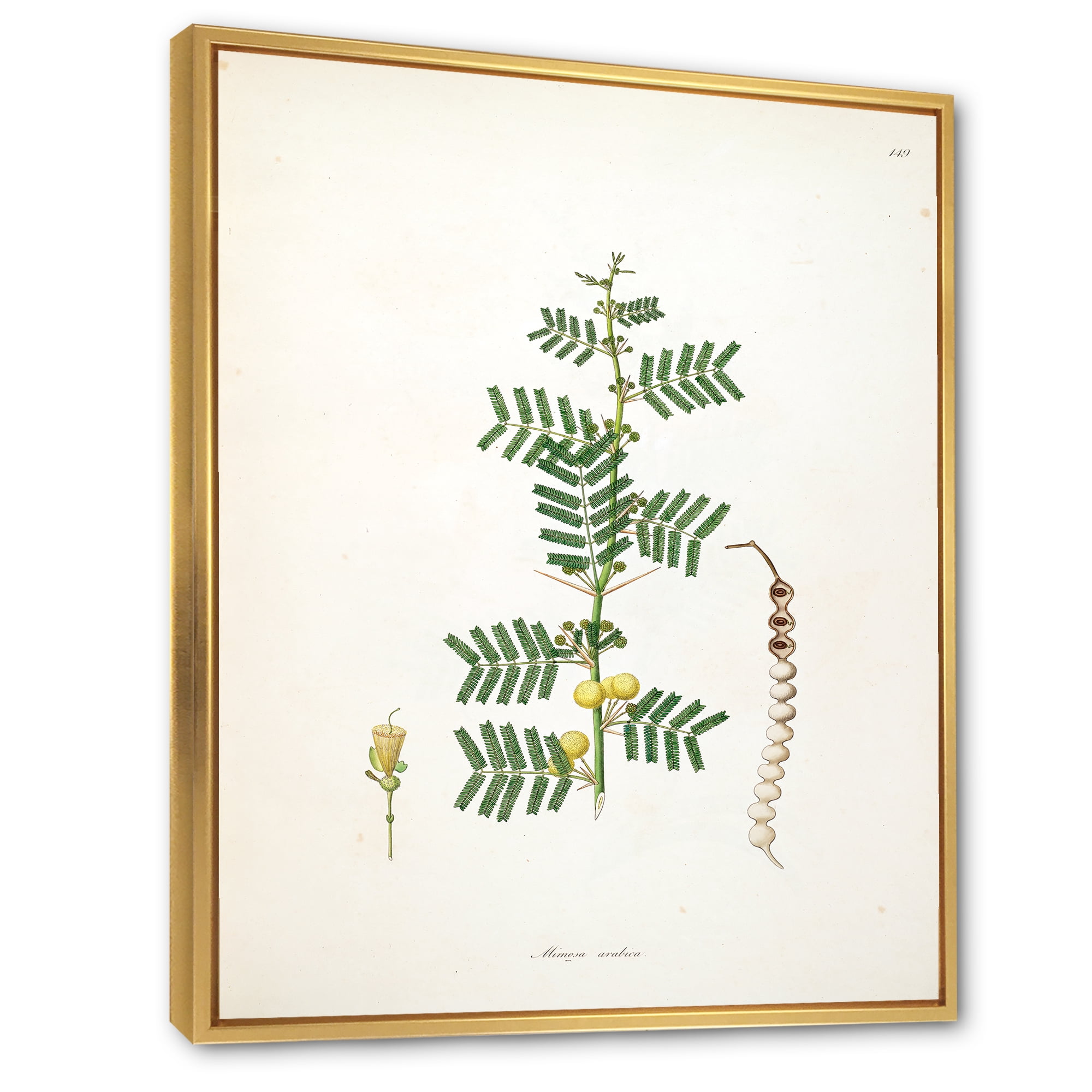 Designart 'Ancient Blossoming Flower III' Farmhouse Framed Canvas Wall Art Print