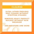 thumbnail image 3 of Cantu Shea Butter Moisturizing Cream Shampoo 13.5 Ounce, 3 of 9