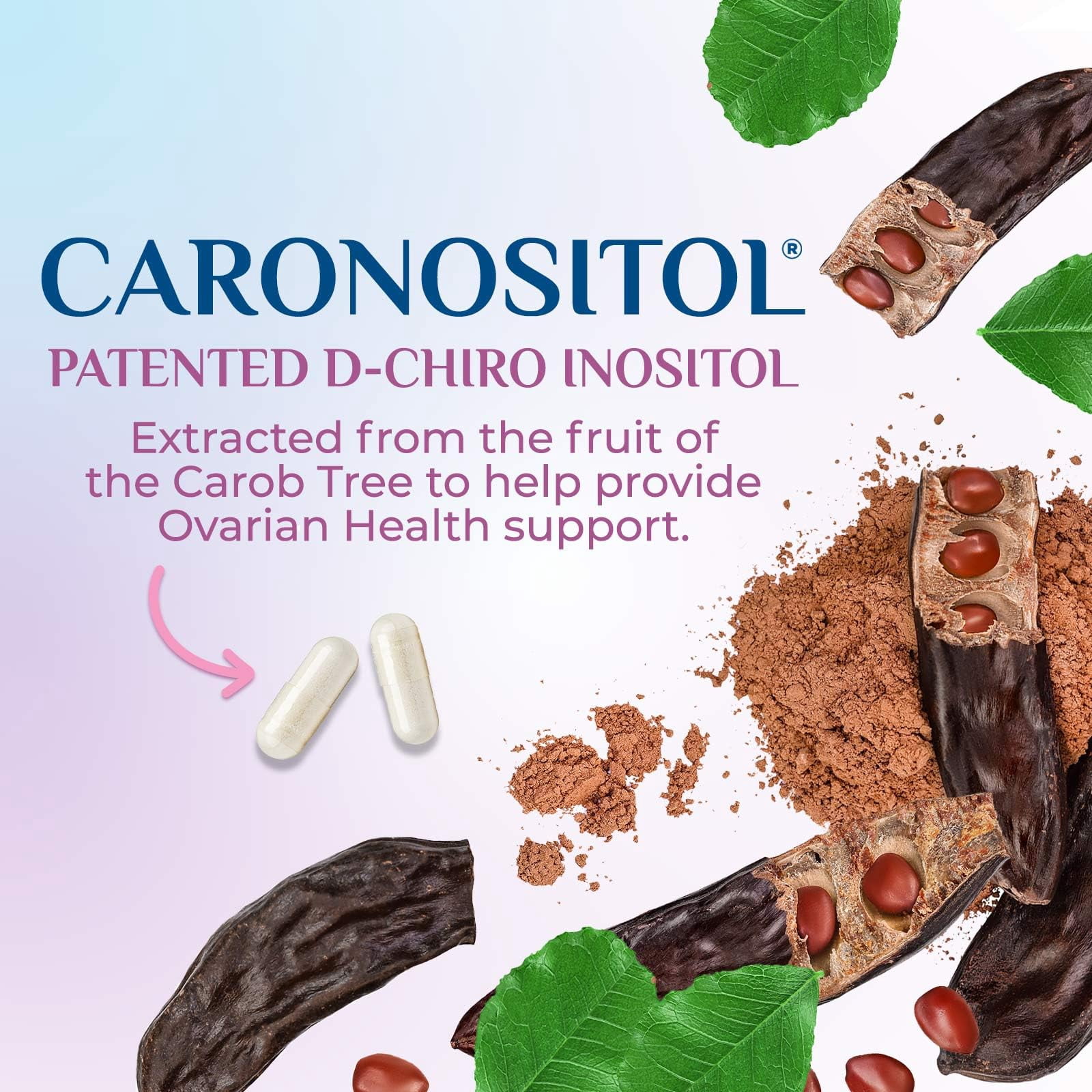 Myo Inositol Supplement & D Chiro, Premium 40:1 Ratio Myo-Inositol & D-Chiro, Natural Balance & Ovarian Health Support, Vitamin B8 Supplement - 60 Capsules (30 Day Supply)