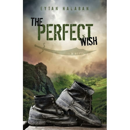 The Perfect Wish (Paperback)