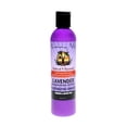 thumbnail image 1 of Sunny Isle Shampooing à l'Huile de Ricin Noire Jamaïcaine 8 fl oz, 1 of 1