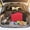 Red-Free Size/RD, variant on Insulated Cooler Lunch Tote Large Thermal Bag with Bottle Holders for Office Picnic Camping Outdoor Travel