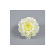 thumbnail image 2 of 50 Cabezas Flores Rosa Artificial Decoración Boda Fiesta 5cm, 2 of 3