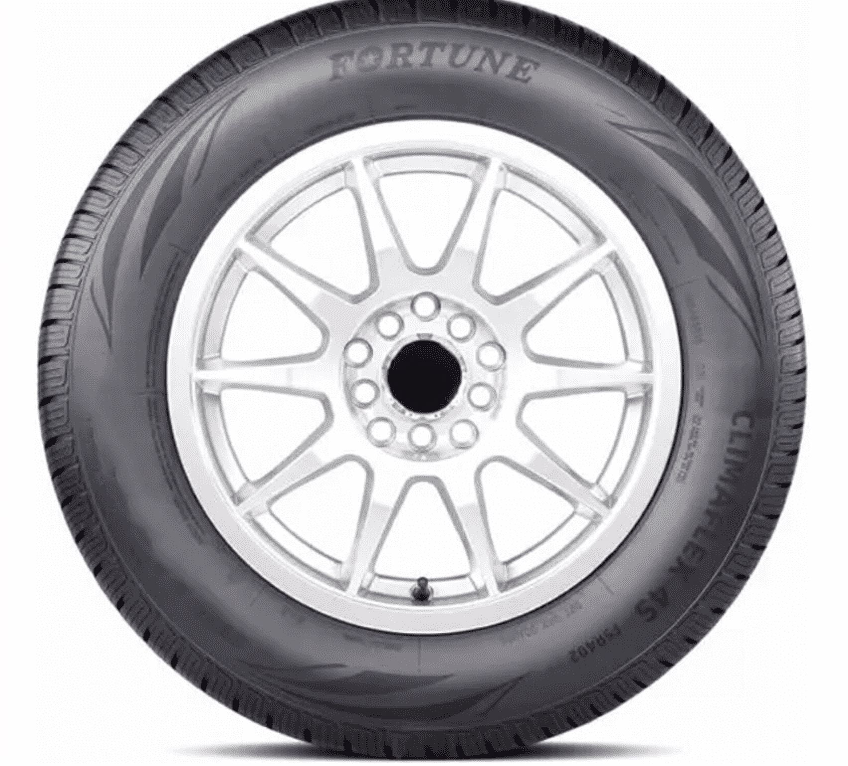 215/60R16,2019年,4本 Fortune Perfectus FSR602 All Season 215/60R16 95V Passenger