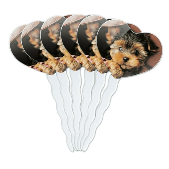 Yorkie Yorkshire Terrier Puppy Dog in Briefcase Trunk Suitcase Heart Love Cupcake Picks Toppers Decoration Set of 6