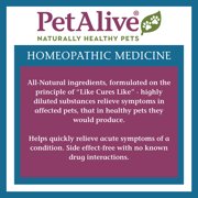 PetAlive® Heart and Circulation Tonic Granules 2 Pack