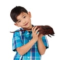 thumbnail image 2 of Hand Puppet Folkmanis Horsehoe Crab para niños, 15 cm, 2 of 3
