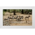 thumbnail image 3 of Dana Underdahl 4x24 White Modern Wood Framed Wall Art Titled - Safari Zebras Group I, 3 of 5