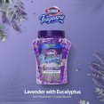 thumbnail image 2 of 12 oz. Jar Fraganzia Air Freshener Crystal Beads Lavender with Eucalyptus, 2 of 5