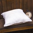 thumbnail image 4 of Inserciones de almohada Relleno de almohada Cojín cuadrado Insertos de almohada 24 "X 24" Almohada Cojín Núcleo Sofá, 4 of 8