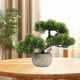 thumbnail image 1 of bonsái artificial, colección de árboles bonsái falsos, de arte, plantas artificiales, vegetación, bonsái, pequeñas plantas falsas para Verde oscuro, 1 of 8