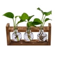 thumbnail image 4 of Dserhfy Plants Propagation Station with Wooden Stand Indoor Plant Terrarium Hydroponic Flower Holder Container Decoration Table Centerpiece, 4 of 7
