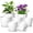 WHITE, variant on UOUZ 7-pack Plastic Plant Pots with Drainage Holes and Saucers, Small Pots for Plants, Flower Pots Multi Pack