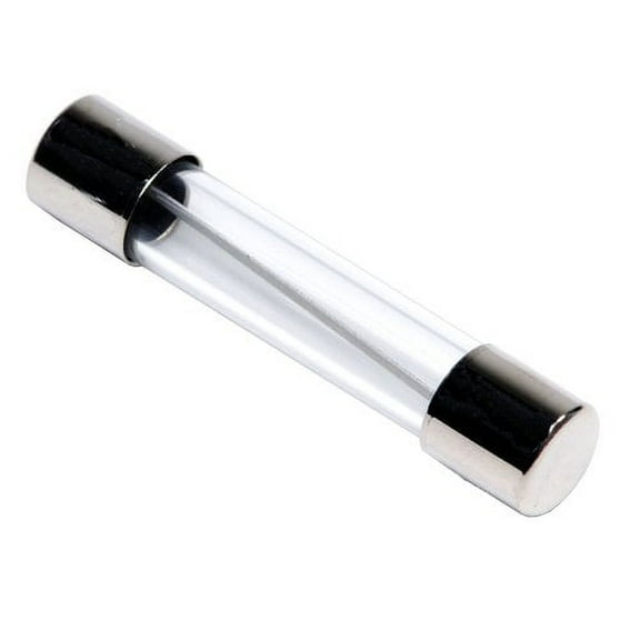 10A, 32mm AGC 125/250VAC Glass Fast Blow Fuses, Pkg of 10