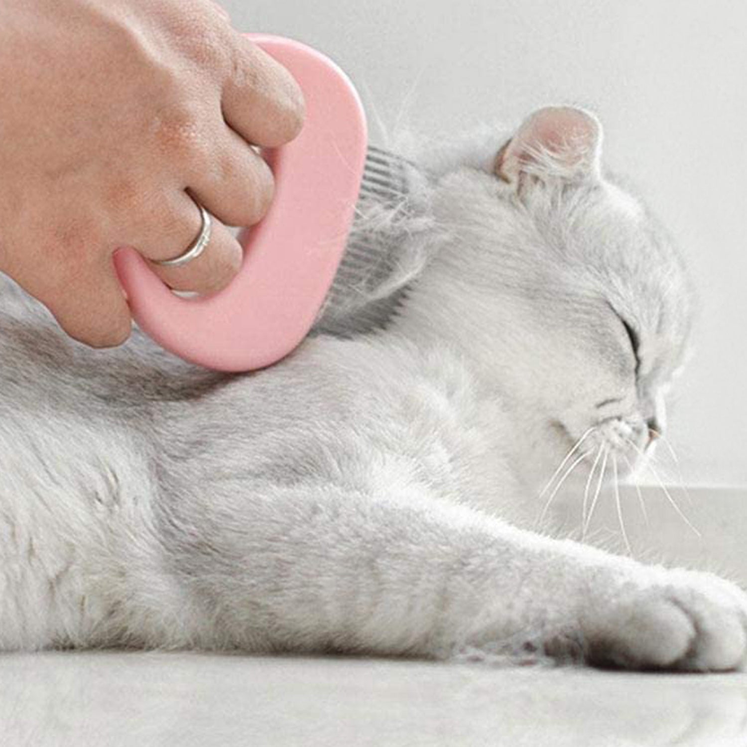 Cat Pet Hair Removal and Massaging Shell Comb Brush - 2 Pack