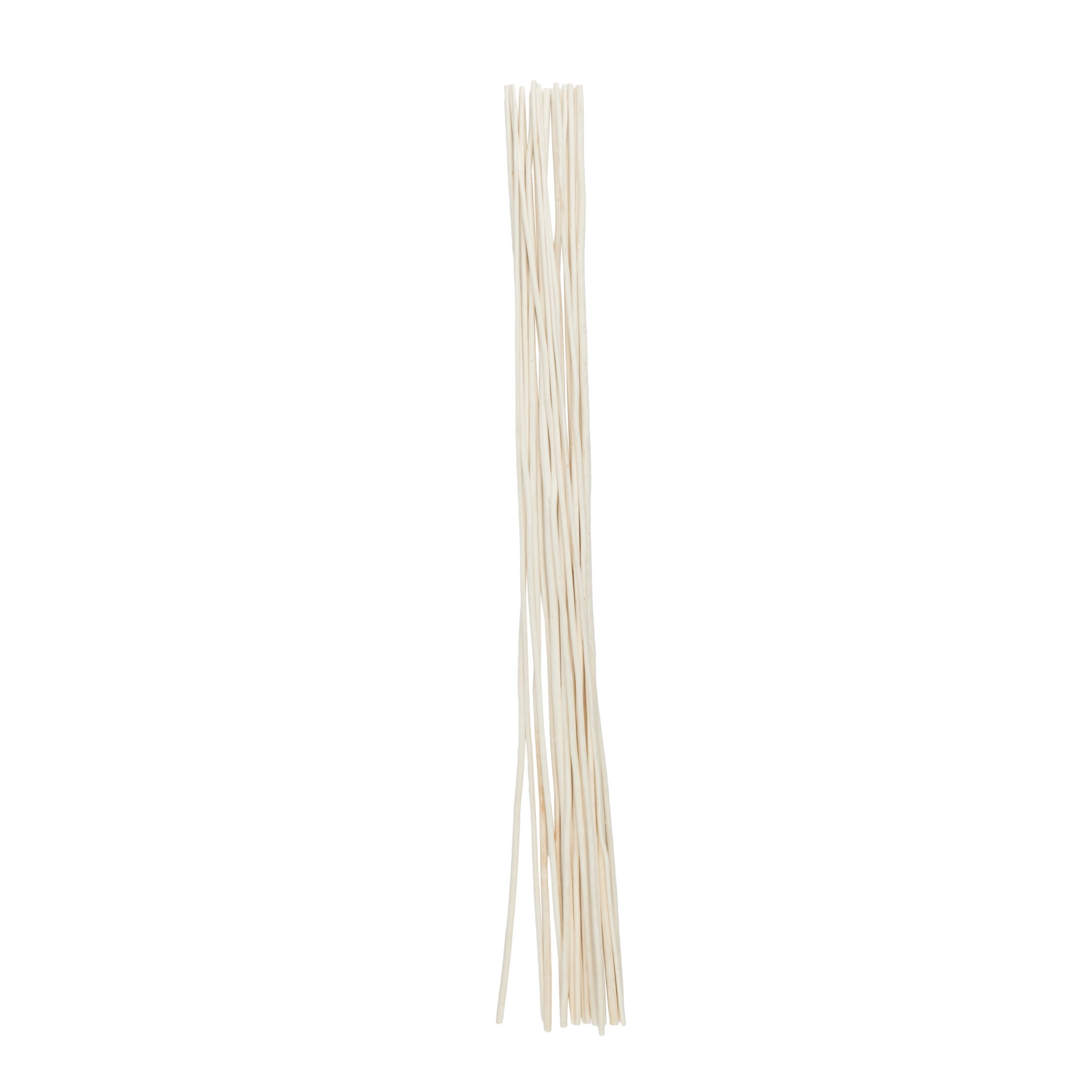 60" Tall Sticks Jute Rope Natural Foliage Bouquet, by DecMode