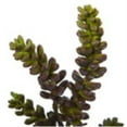 thumbnail image 2 of Nearly Natural 5ft. Autumn Maple Artificial Fall Tree, 2 of 4