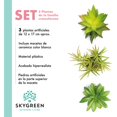 thumbnail image 2 of Paquete De 3 Plantas Pequeñas Artificiales Decoracion Hogar SKY GREEN HJ3P3P210001, 2 of 6
