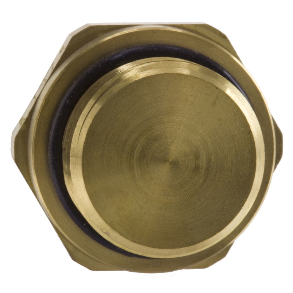Engine Coolant Temperature Sensor