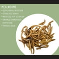 Carnivorous Plant Food Dried Mealworms (1oz), for Feeding Carnivorous