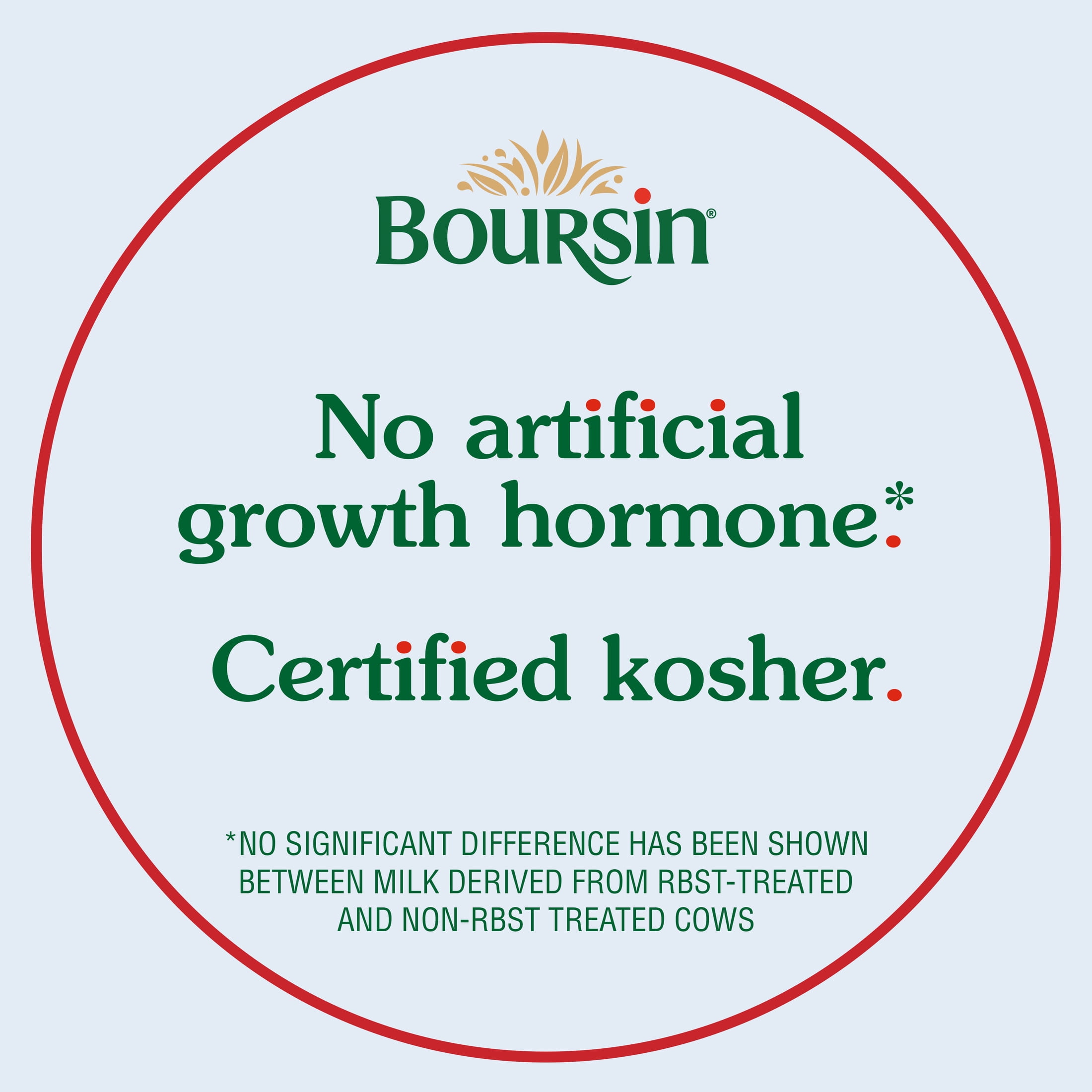 Boursin® Hot Honey & Roasted Garlic Gourmet Spreadable Cheese 5.3oz