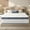 10" Queen, variant on Queen Size Mattress, Holaki 10" Hybrid with Memory Foam and Individually Pocket Spring Hybrid Mattress in a Box, Euro Top, Medium Firm, Pressure Relief, CertiPUR-US