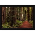 thumbnail image 2 of Danny Head 24x17 Black Modern Wood Framed Wall Art Titled - A Walk in the Woods I, 2 of 6
