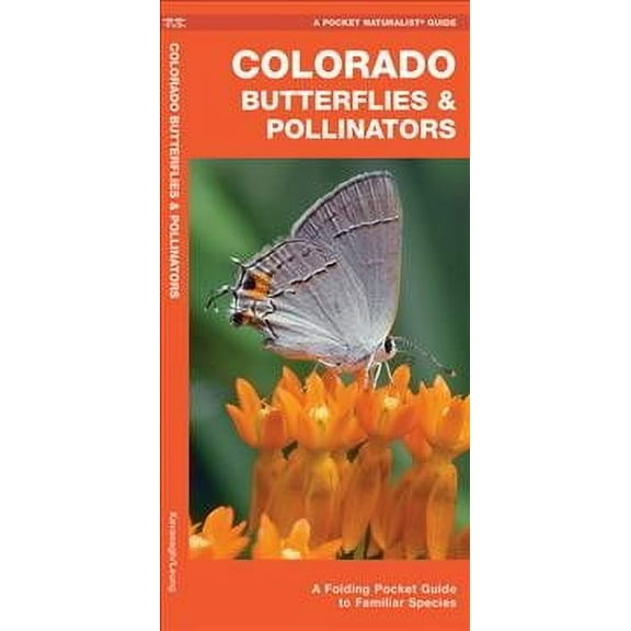 Wildlife and Nature Identification: Colorado Butterflies & Pollinators : A Folding Pocket Guide to Familiar Species (Edition 2) (Other)