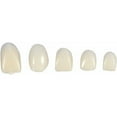 thumbnail image 2 of EcoNesxp Stylish and versatile temporary dental kits replace missing teeth in minutes Temporary dental kits replace missing teeth in minutes, 2 of 5