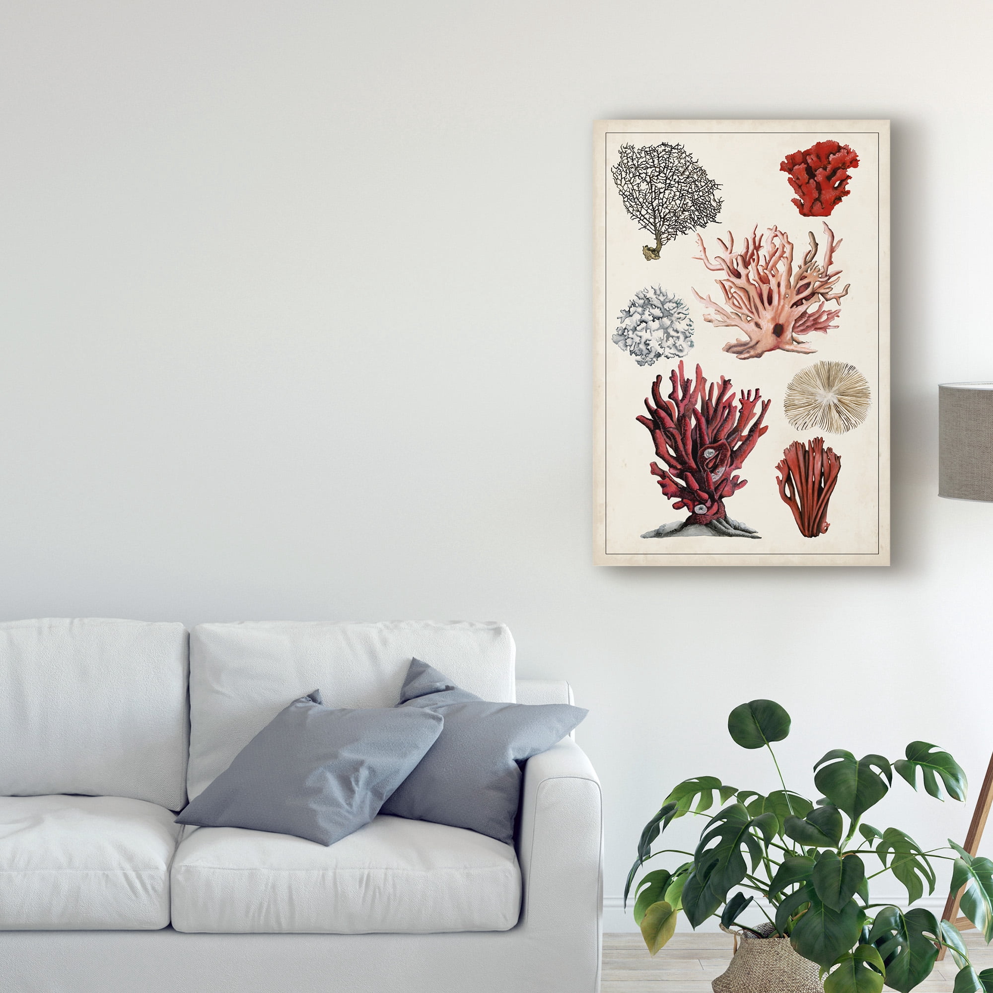 Trademark Fine Art 'Antique Coral Study I' Canvas Art by Naomi McCavitt