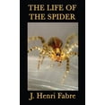 thumbnail image 2 of The Life of the Spider, 2 of 4