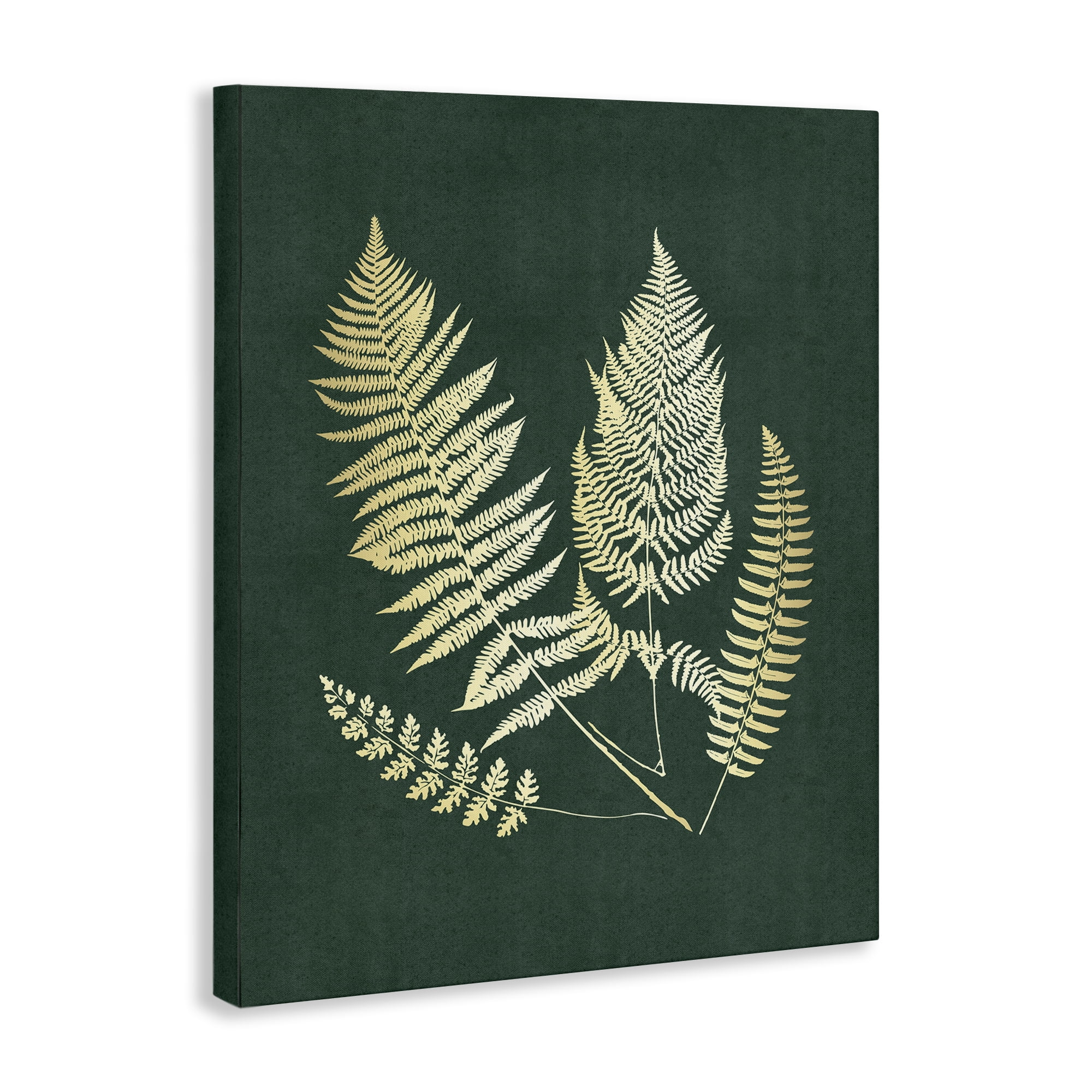 Stupell Industries Gilded Fern Sprigs Plants & Flowers Painting Wrapped Canvas Art Print Wall Art, 16 x 20
