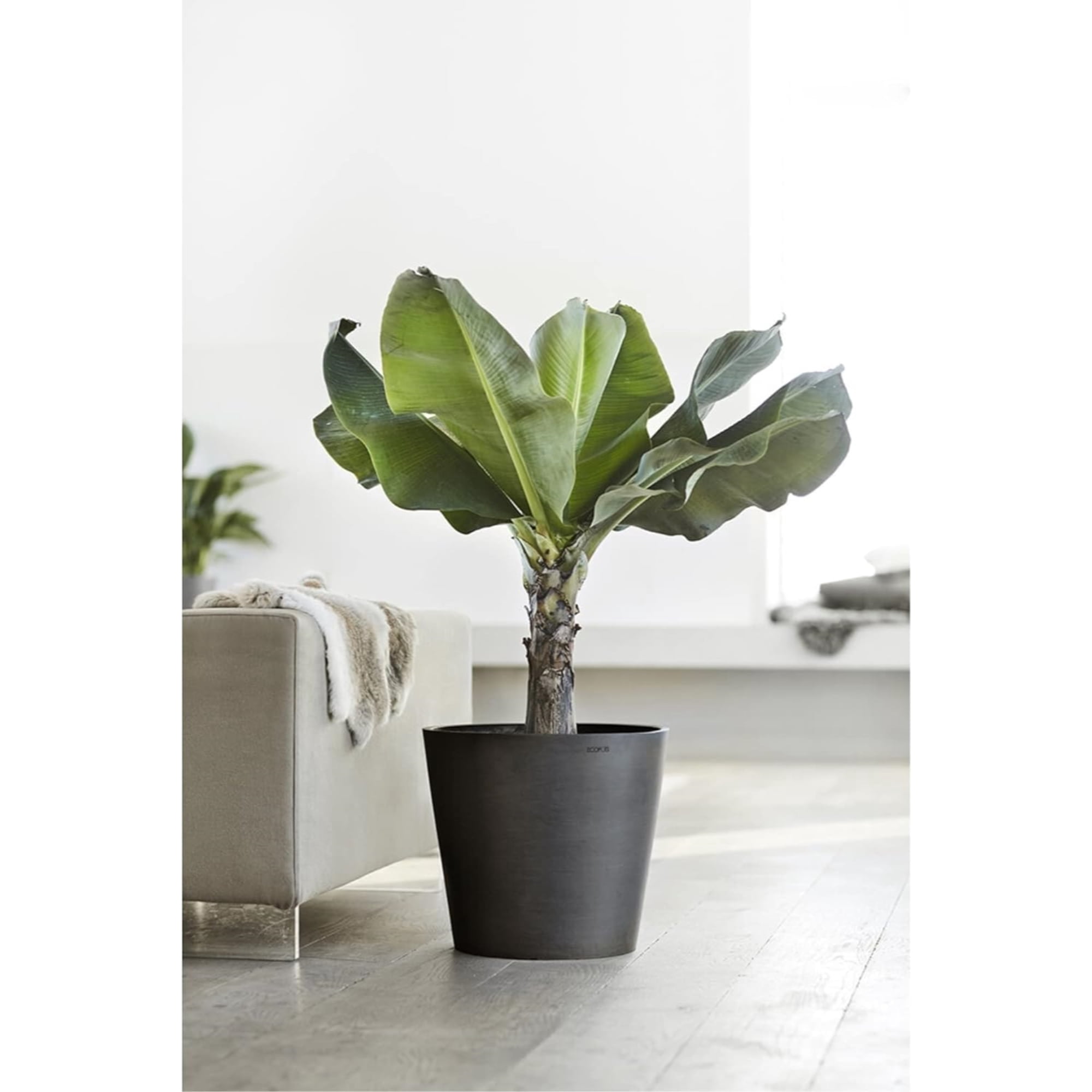 Ecopots Amsterdam Wheels Durable Modern Round Indoor/Outdoor Recycled Based Composite Flower Pot Planter, Dark Grey, 23.5"