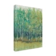 thumbnail image 2 of Tim OToole 'Woodland Edge I' Canvas Art, 2 of 3