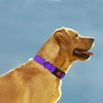 thumbnail image 2 of Collar reflectante para perros con hebilla de seguridad, collar ajustable de nailon para cachorros, perros pequeños, medianos, grandes y extragrandes (1 unidad, morado, L), 2 of 5
