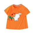 thumbnail image 2 of Tdoqot Toddler Girls Graphic T Shirts- Short Sleeve Cute Soft Cotton Kids Summer Tops Orange Size 2-6 T, 2 of 4