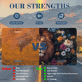 thumbnail image 7 of 1 Pcs 2D Flat License Plate Covers & Frames, Lion among Flowers For Decorative Front, Waterproof For Decoration Aluminum License Plate Covers & Frames Cover For Men Women, 12" X 6", 7 of 7