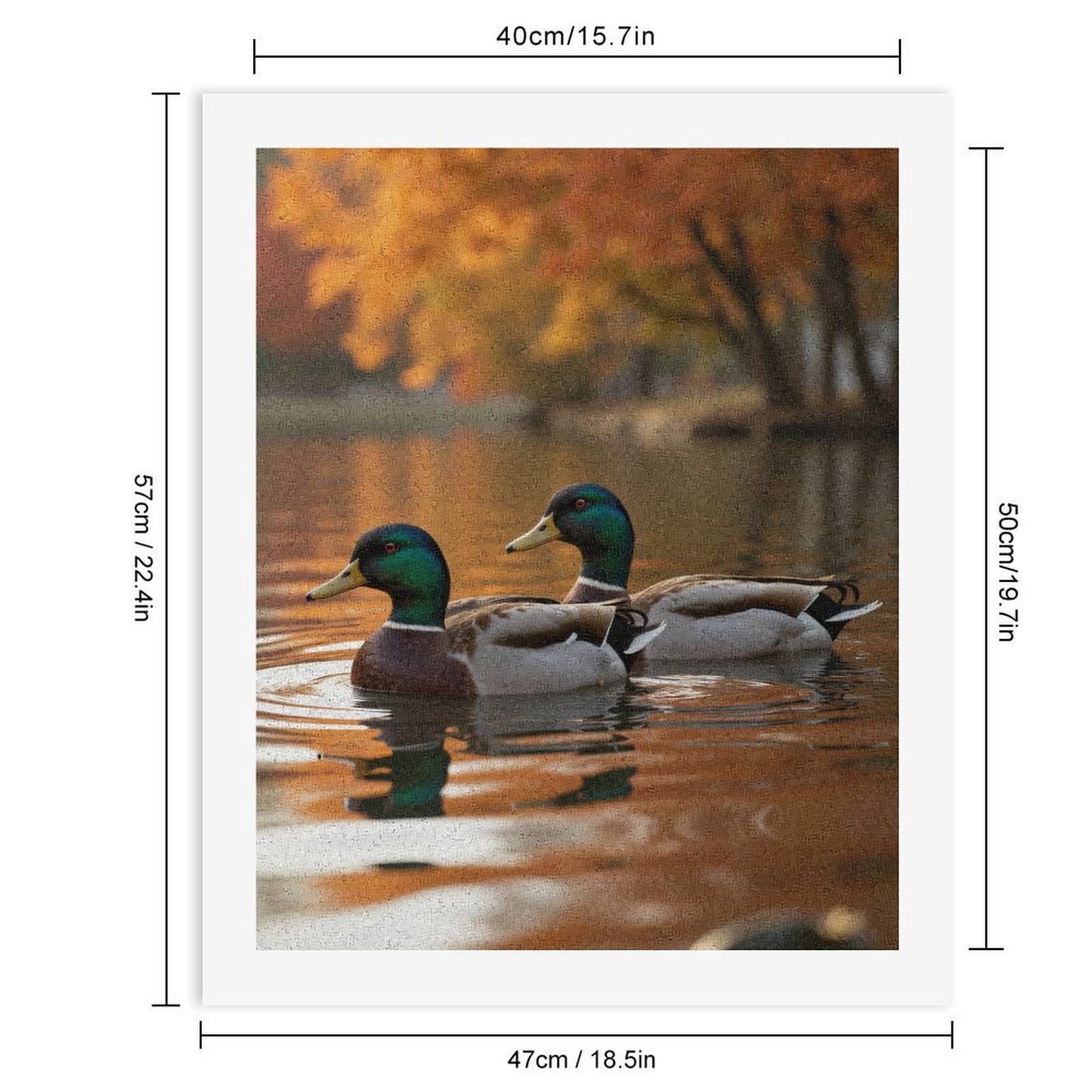 Paint By Numbers Kit for Adults Beginner - DIY Autumn Reflection Lake Ducks Tranquility Canvas Painting Kits for Adults, Frameless Paint By Number for Adults for Home Wall Decor 16x20 Inch