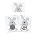 thumbnail image 1 of My Scratch Offs Make Your Own DIY Scratch Off ScratchNotes 20 Pack 3x4 Note Cards & Stickers Teacher Rewards Happy Easter Bunny Design, 1 of 6